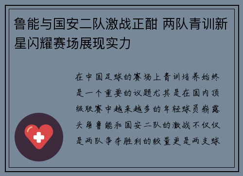 鲁能与国安二队激战正酣 两队青训新星闪耀赛场展现实力