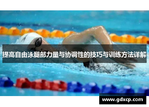 提高自由泳腿部力量与协调性的技巧与训练方法详解