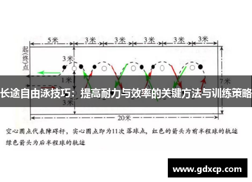 长途自由泳技巧：提高耐力与效率的关键方法与训练策略