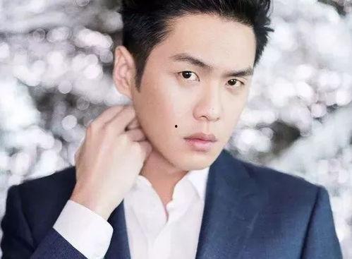 张若均个人资料,才华横溢的青年才俊，多领域成就斐然